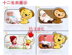 妈妈对应的生肖是什么？哪个生肖最能体现妈妈的特质？