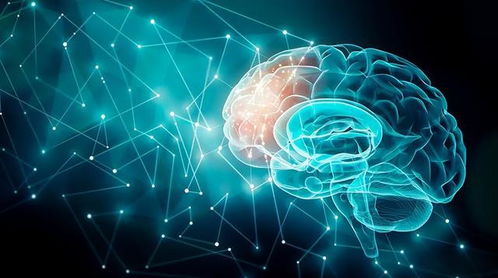 跨学科探究前沿：认知神经科学研究与幼年灵异体验