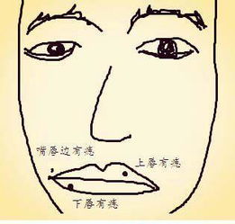男士面相肾功能不好，面相图如何判断？