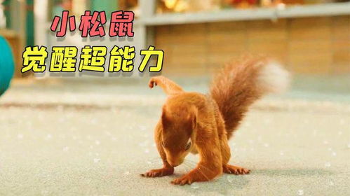 一、 打破常规：精灵的灵魂