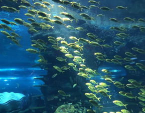 南京杭州海底世界游玩攻略