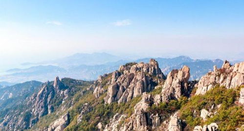 ：千年道脉的绵延与时代变迁