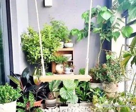 如何利用风水小妙招选择植物来改善三角形地块的风水？