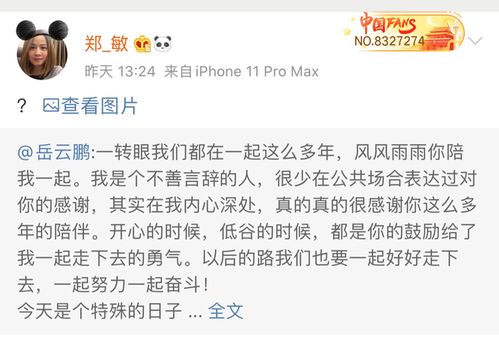 2. 温婉细腻型：兔、 羊、猪