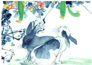 99年属兔人近期桃花运和财运状况如何？