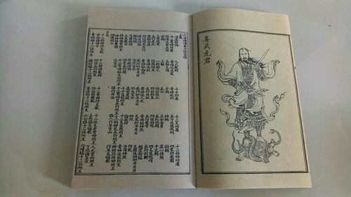 子、 丑两支对市场价格较高人的具体作用