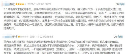 1.1 律法条文的解读与适用范围