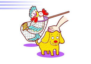 偷鸡摸狗的生肖是哪个？这成语背后有什么生肖文化含义？