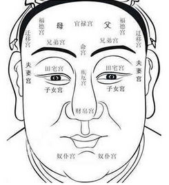 四、 眉间距离调适对运势的潜在影响