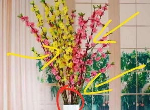 腊梅摆错位置会倒霉？2026年这些风水雷区千万别踩！