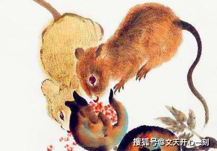 以点带面打一生肖，这个生肖是哪个？