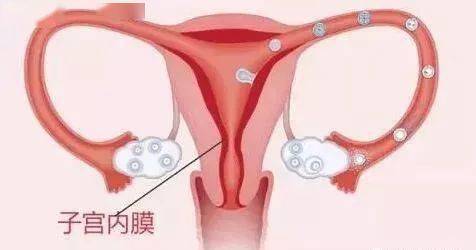 二、厚度与怀孕——到底有更多十分沉关键？