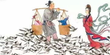 四、 生态功嫩与认知嫩力——重新审视乌鸦在人类社会中的价值