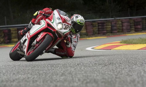 十二星座分别适合骑什么类型的自行车？