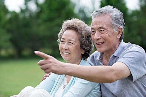 本地人老王给我出的馊主意