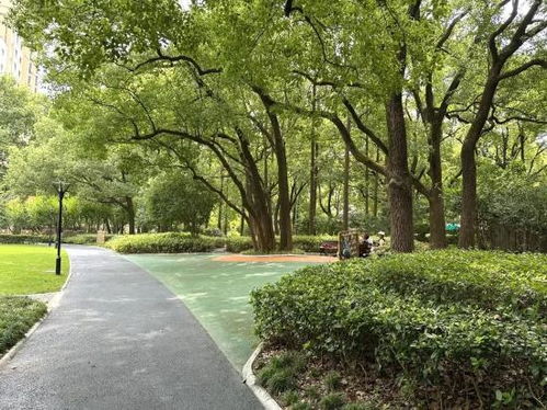 公交线路详细信息汇总