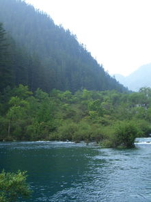 那些年我们交过的智商税