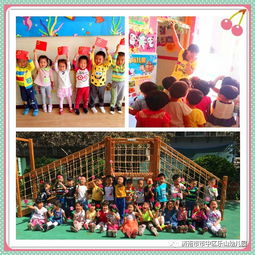 一、 饮食互动与婴幼儿行为发展内在关联的学术阐释