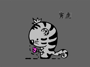 天蝎女属虎的婚姻会面临哪些挑战和机遇？