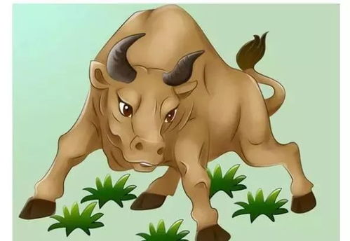 属牛属狗结婚是否匹配，他们最旺的楼层是哪一层？