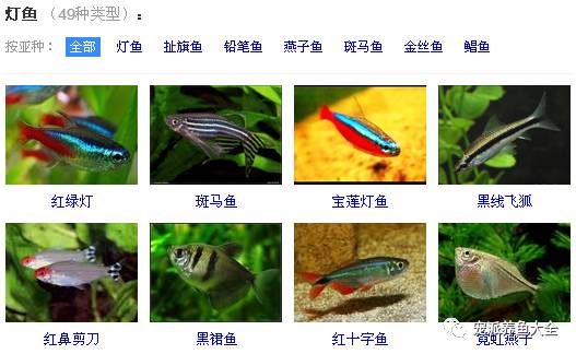信息来源及探究方法综述