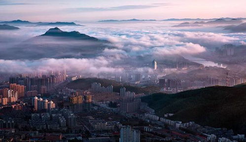 东、 西、南、北山的争论