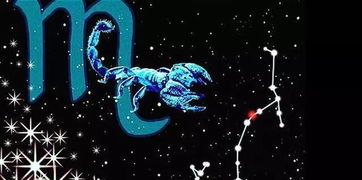 当日星座位置及其对商业运势的影响