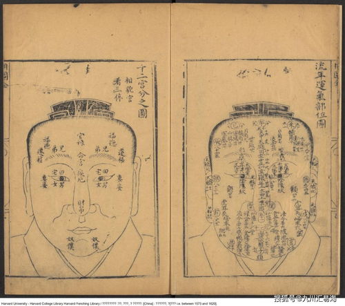 案例一：1967年7月8日出生的人财运深度解析