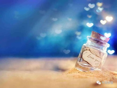 情感演变的时间维度及其潜在风险