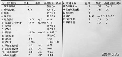 从神圣性与不洁性两端审视禁忌内涵