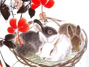 朝三暮四好生肖是哪个？最懒的生肖是哪个生肖呢？