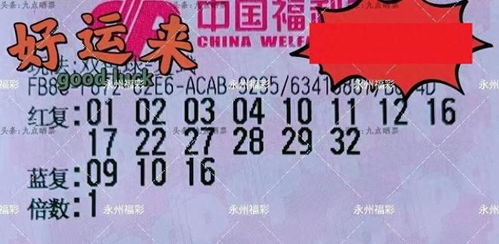 竞争的常态与自我面对的重要性