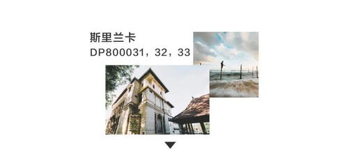 3. 结合个人特色
