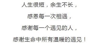 四、 生肖流年冲合对较小人与灾祸出现频率之作用于