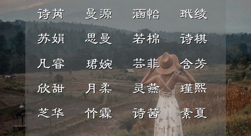 1.1 名字就是你的脸面 哪怕是在虚拟世界里