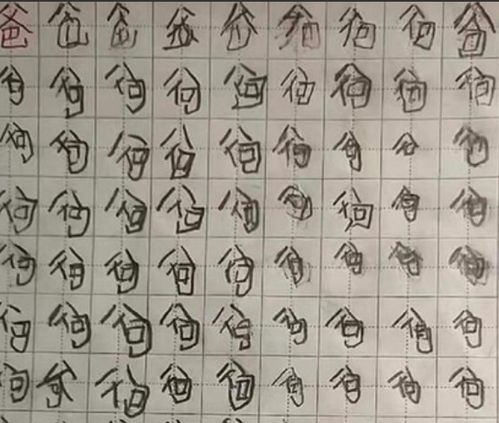 二趾长度与财富水平的关系