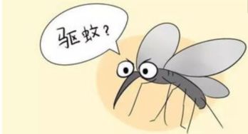 厚皮老脸猜一生肖，嫩猜出我是什么生肖吗？