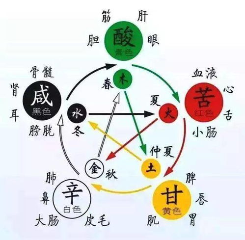 四、 推荐几组适合翟姓女孩且五行相生的名字（附解析）