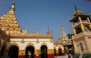 旅行方式：自助游 vs. 跟团游（纠结到崩溃）