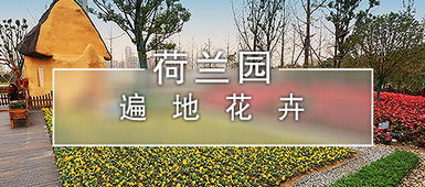 你以为园博园门票市场价格较高得离谱？别再被坑了！