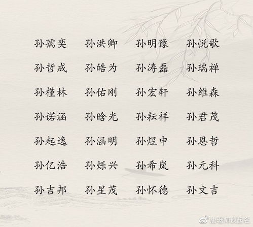 孙姓宝宝起名：一场充满惊喜的寻宝之旅