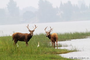 行李禁忌：带错东西会遭天谴
