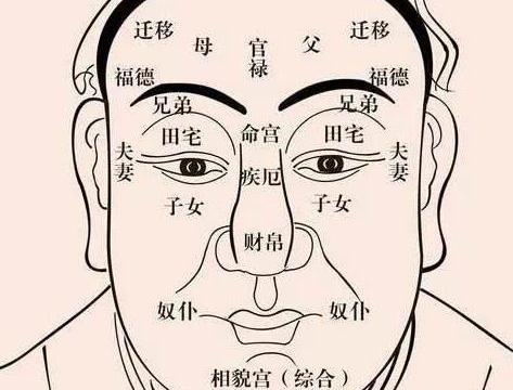 面相学中面部定位的理论基础与“一百三十九部位”的学术架构