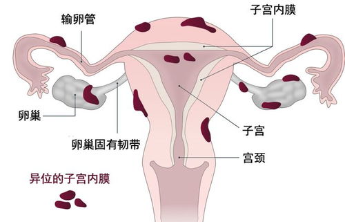 三 、那么…它们跟那个地方的“可怕”的‘’到底有没有关系呀？！！