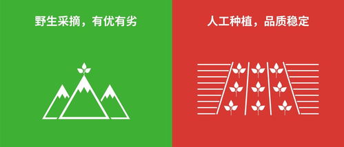 四、 实务操作中的关键注意事项