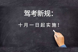 四、 时代背景下的反思：权力、暴力与人性的挣扎