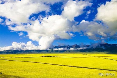 #3 野外帐篷露营