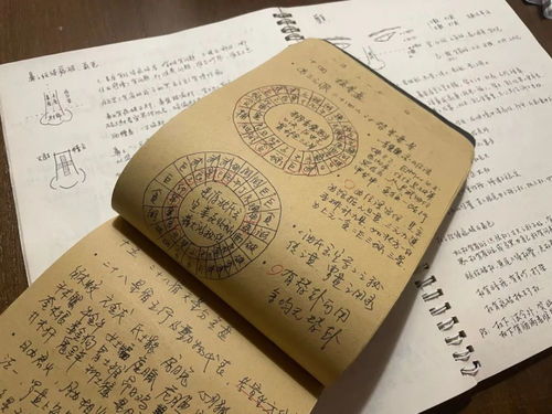 风水师的诊断