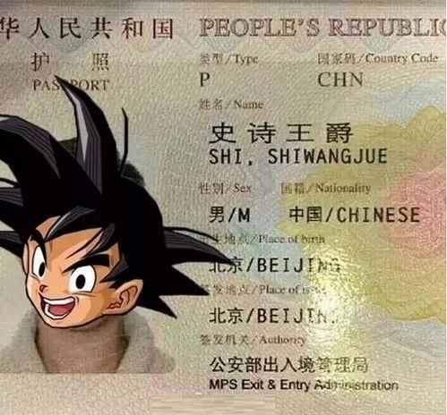 奇葩大作战！！为了不重名拼了