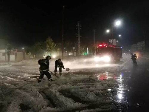 惊魂夜行：较小猴子电摩下的幻象与反思